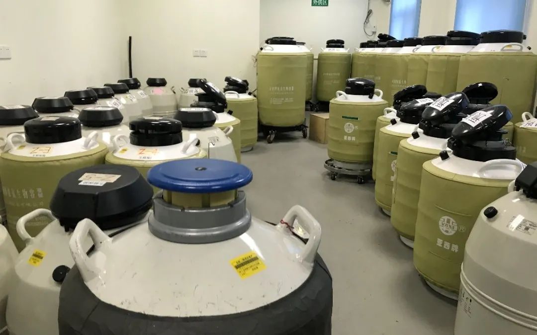 北京人类精子库精子捐献报名条件,广东省人类精子库2003年捐献条件