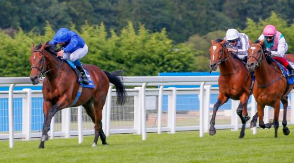 世界马匹年终排名出炉，中国香港“金枪六十”跻身前十