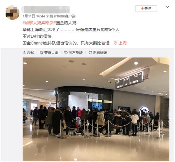 怎么花最少的钱买真大鹅,怎样才能买到真正的正宗的大鹅