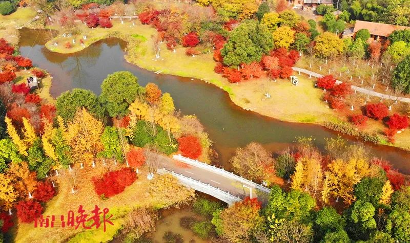 就地过年！南昌送“大礼包”啦！滕王阁、原城纪、凤凰沟……