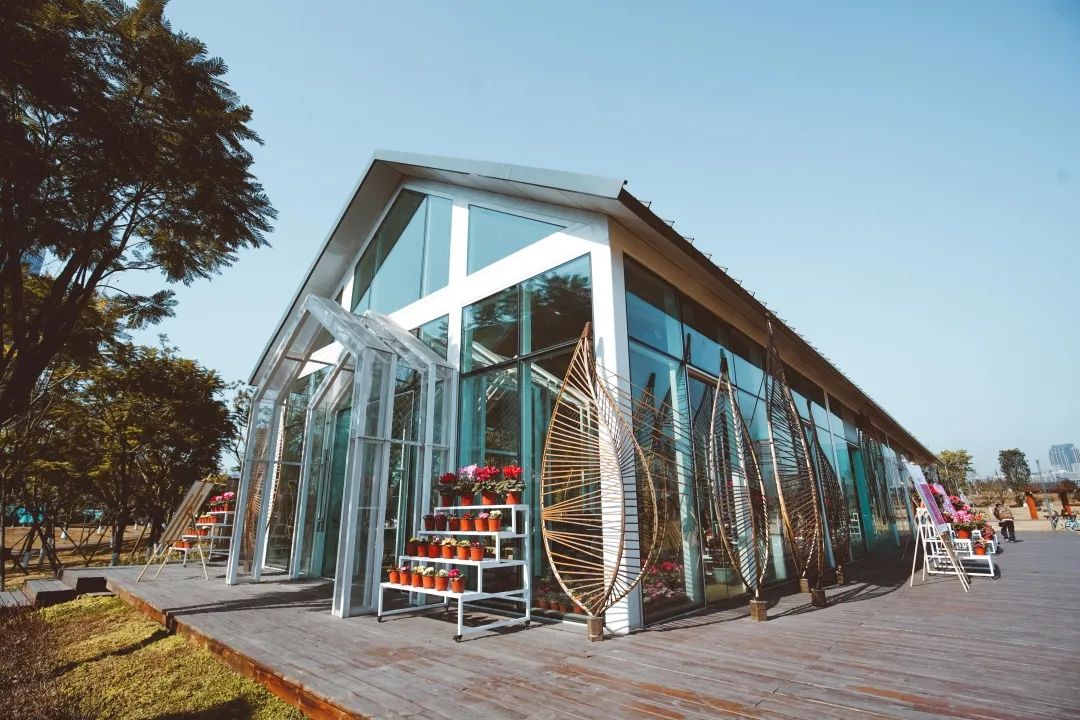 逛花市赏花灯,逛新春花市