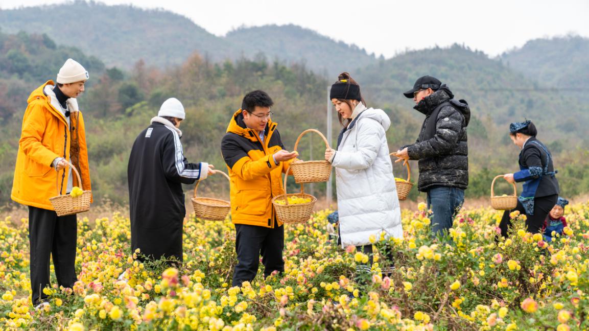 彭泽黄岭乡新春村,新春走基层英山