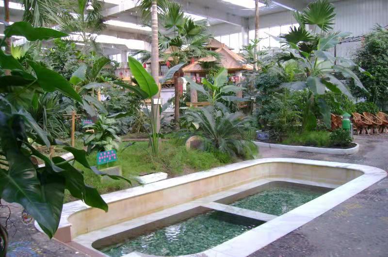 春节不打烊随心玩,内蒙古就地过年