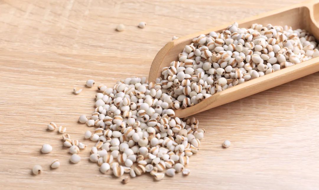 祛湿专家在线,红豆薏米祛湿茶达人讲解