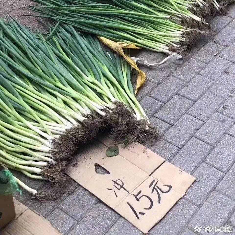 如何一句话气哭一个大学生,如何用一句话弄哭女生