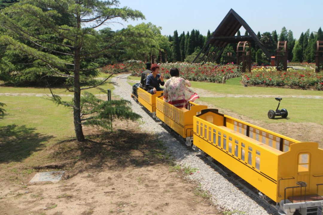 周边游玩推荐适合带孩子的公园,最好玩的主题公园排名前十