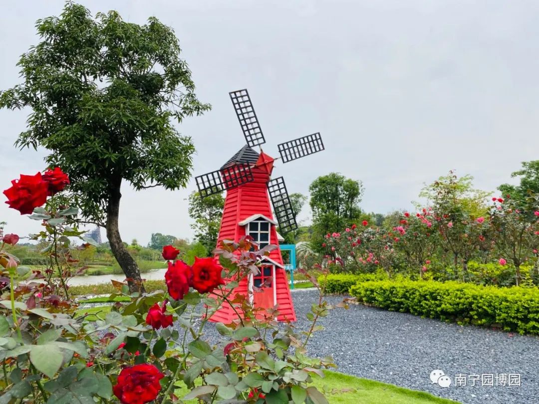 南宁赏花2022,赏花攻略南宁