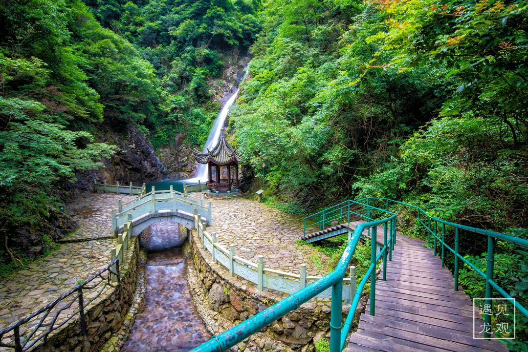 瀵诲勾鍛宠繋榫欏勾鎵撳崱娲诲姩,瀵诲勾鍛冲搧骞村懗鎰熷彈