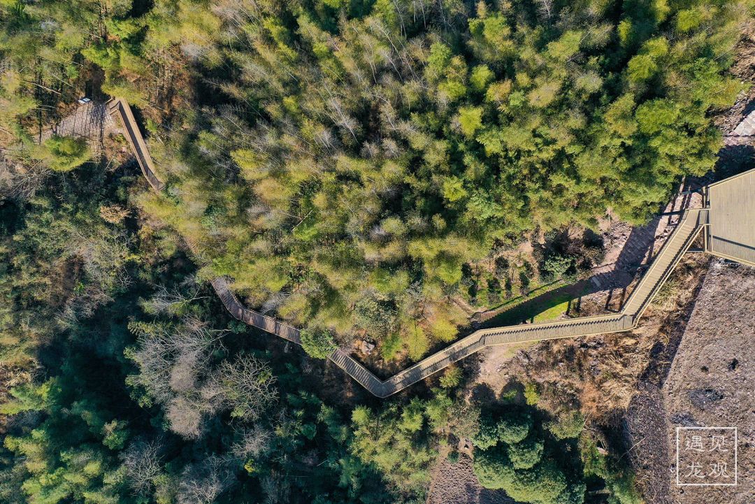 瀵诲勾鍛宠繋榫欏勾鎵撳崱娲诲姩,瀵诲勾鍛冲搧骞村懗鎰熷彈