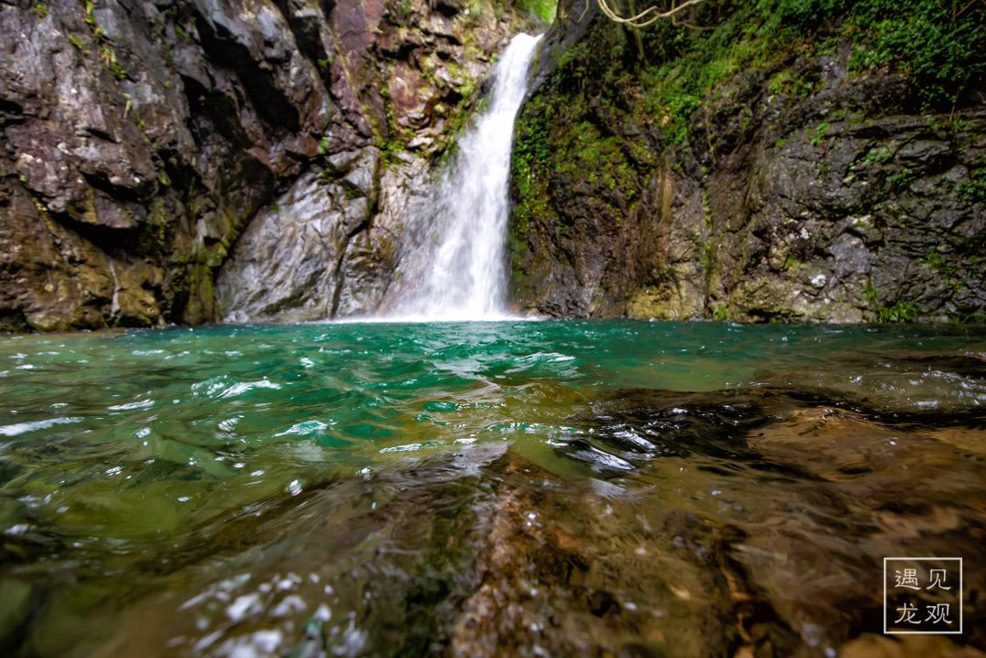 瀵诲勾鍛宠繋榫欏勾鎵撳崱娲诲姩,瀵诲勾鍛冲搧骞村懗鎰熷彈