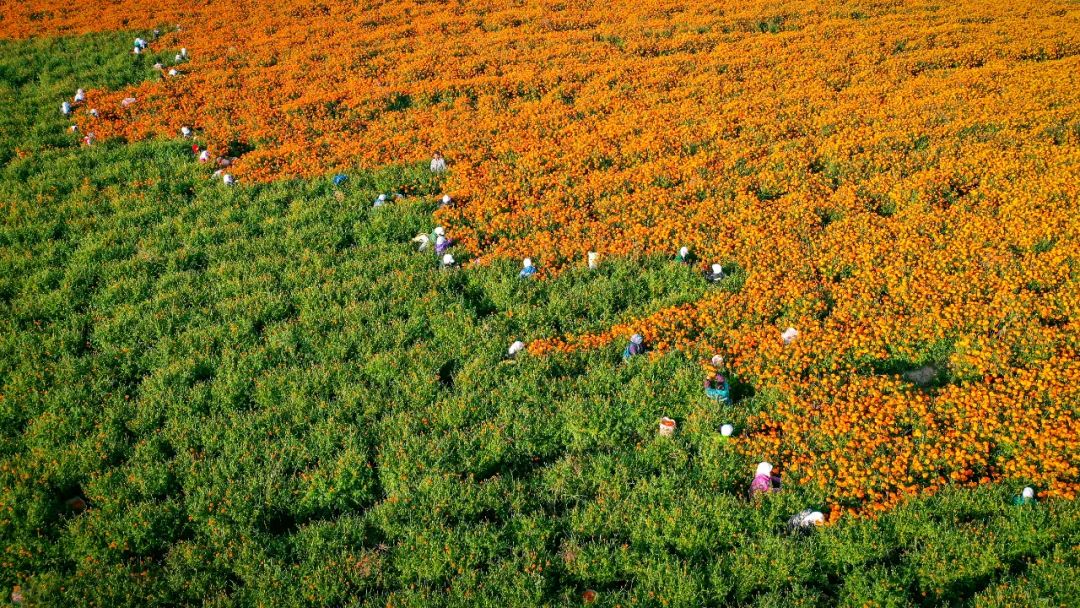 鍙や粖杈夋槧瀹屾暣瑙嗛,鍙や粖浜ょ浉杈夋槧