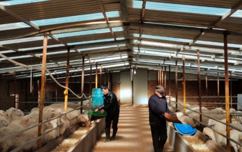 全国脱贫攻坚战优秀个人表彰,脱贫攻坚先进个人人民日报