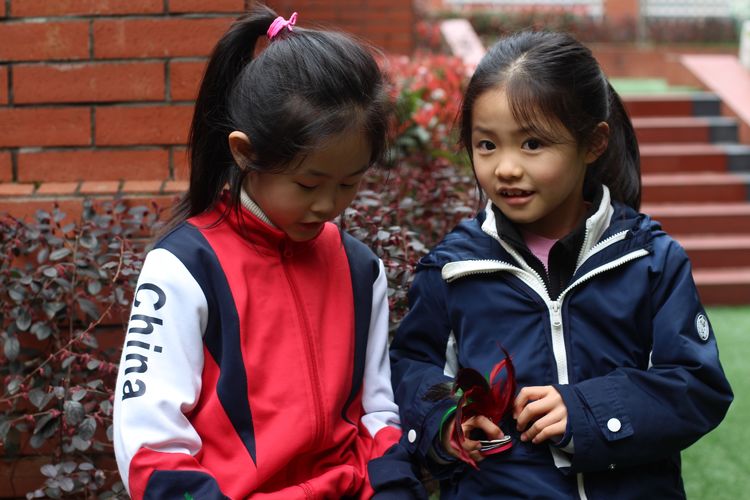 执手春天灼灼其华——咔嚓社最美遇见之寻找校园春意篇