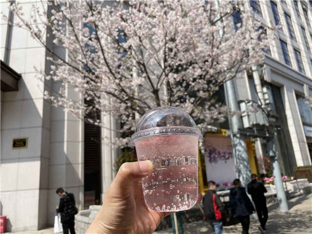 哪些樱花可以食用,樱花是否可以食用