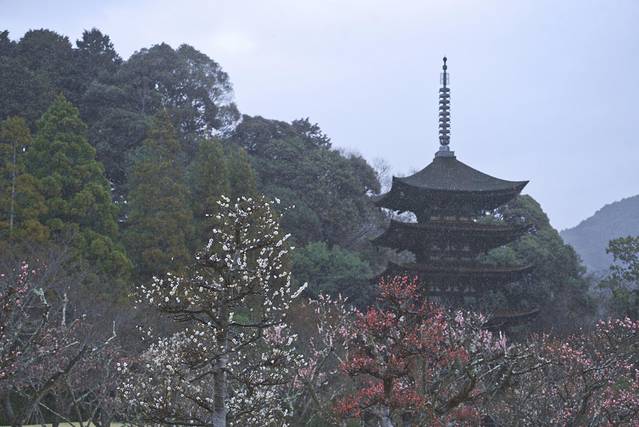 日本山口县十大旅游景点,日本山口风景区有哪些景点