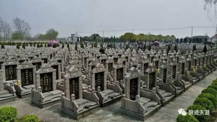 哪一年是农历三月三清明,农历二月廿三清明节