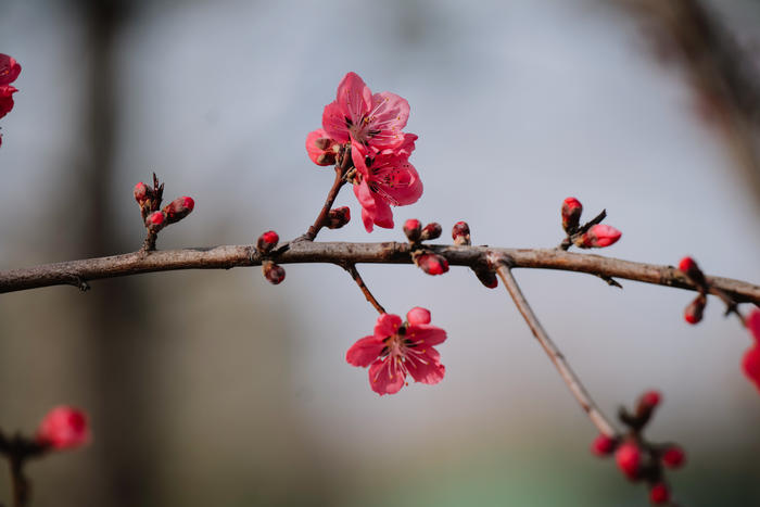 松下s5镜头70-300测评,松下lumixs70-300mm