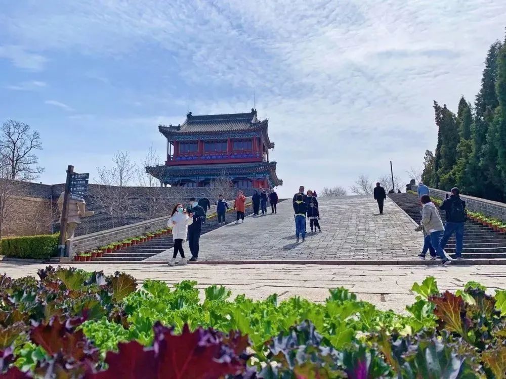 清明旅游赏花攻略,踏青山海关