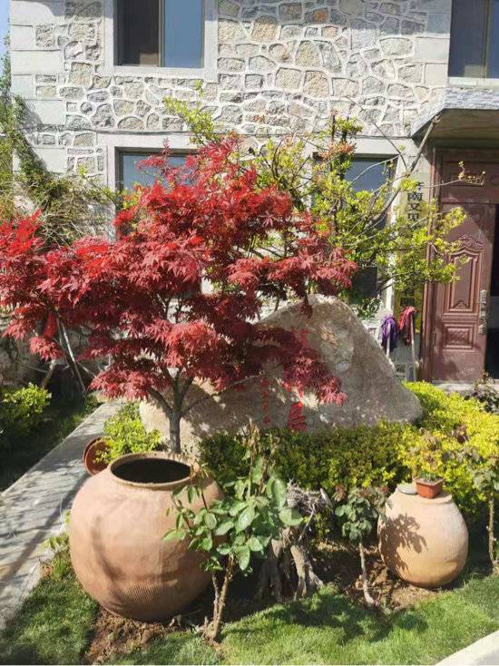 济南民宿团购三天两晚,济南民宿哪里最便宜又好