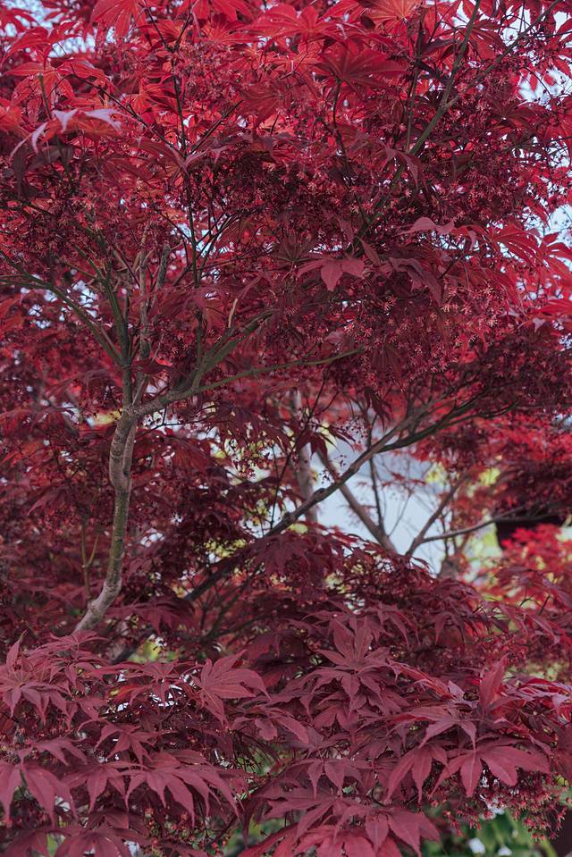 唐山带娃周末旅游攻略,唐山出发带娃两日游