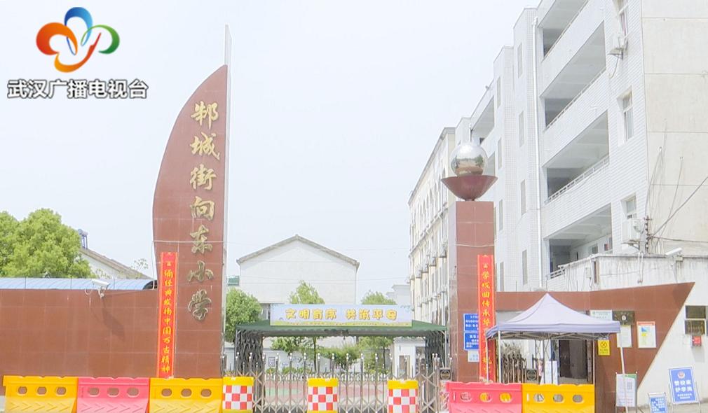 新洲邾城向东小学位置,新洲区邾城街向东小学六一儿童节