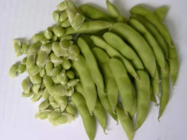 毛豆为啥便宜了,毛豆为啥不是糯的