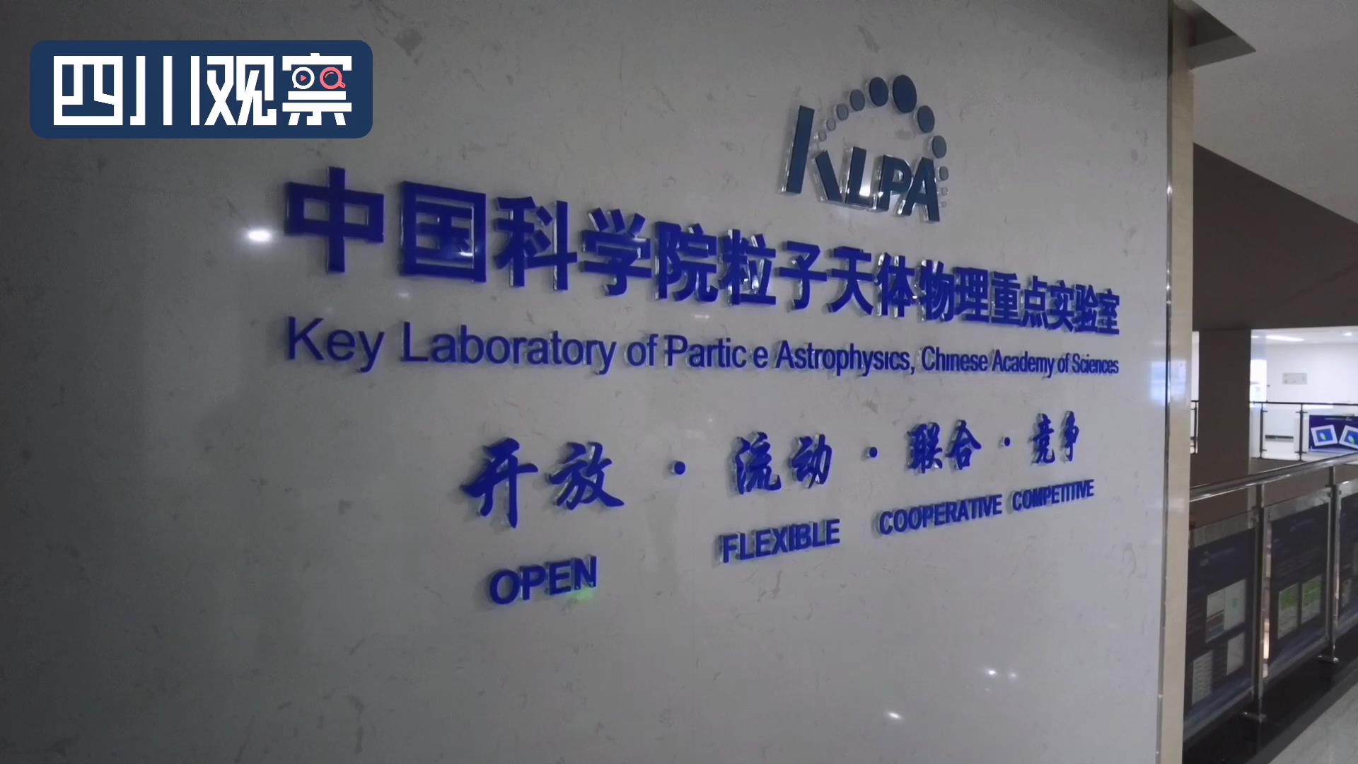 天鹅座来信最新,天鹅座来信科普