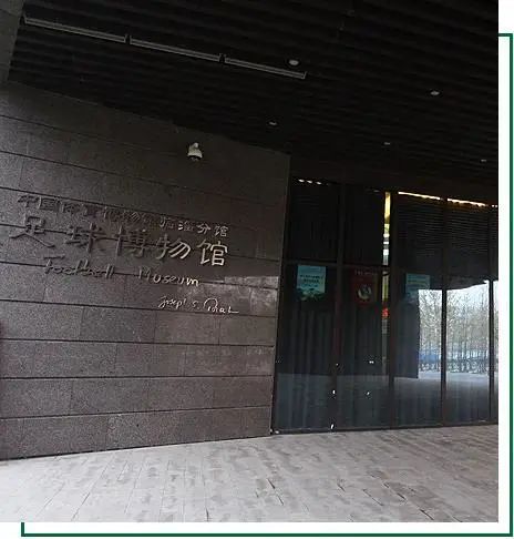 半岛叨叨丨国际博物馆日，*物文**喊你来蹦迪！山东和青岛这些“国宝级”*物文**你知道多少