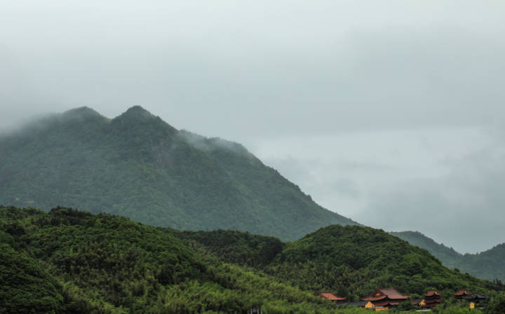 专业摄影师驾到,摄影师驾到统统闪开
