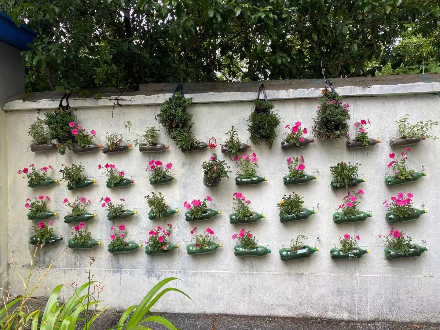 改进绿化美化小区环境,上海旧小区改造翻新