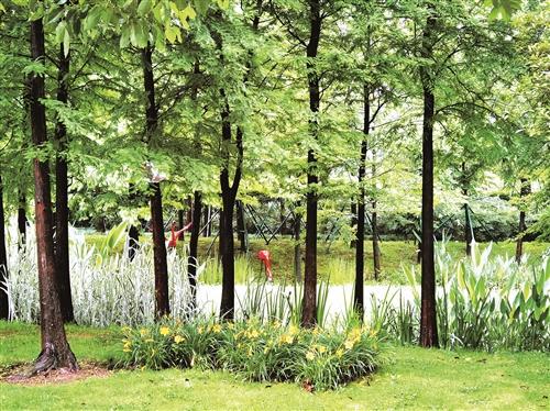 路桥中央山公园一日游日记,路桥中央山公园荷花开了吗