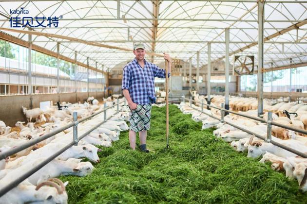 佳贝艾特羊奶粉适合什么样的宝宝,婴儿羊奶粉全配方奶粉推荐