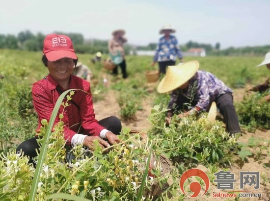 邮储银行广水支行助力乡村振兴,邮储银行郯城县支行