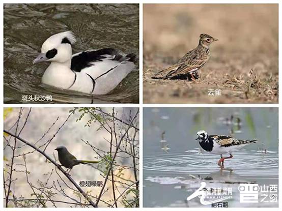 如画沁水展览馆,如画沁水视频介绍