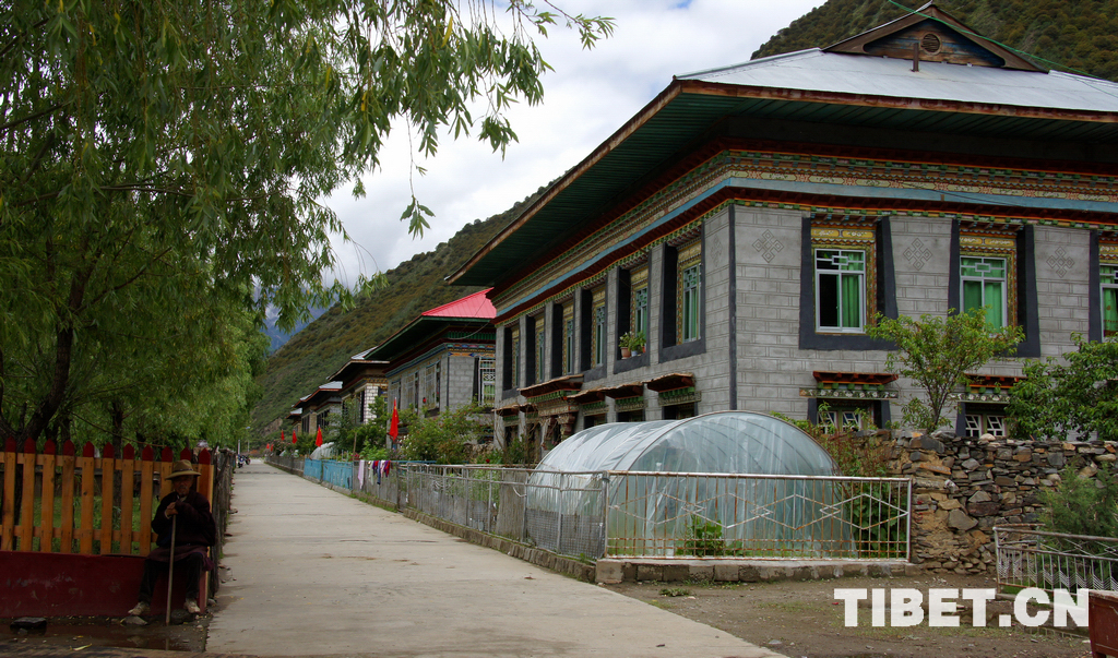 藏南地区生态状况,藏北高原自然特点