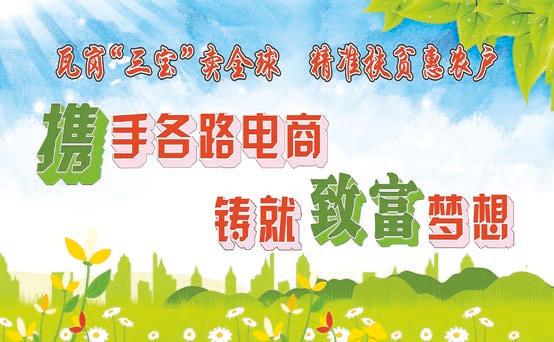 县域电商精准扶贫项目,电商扶贫致富小康路