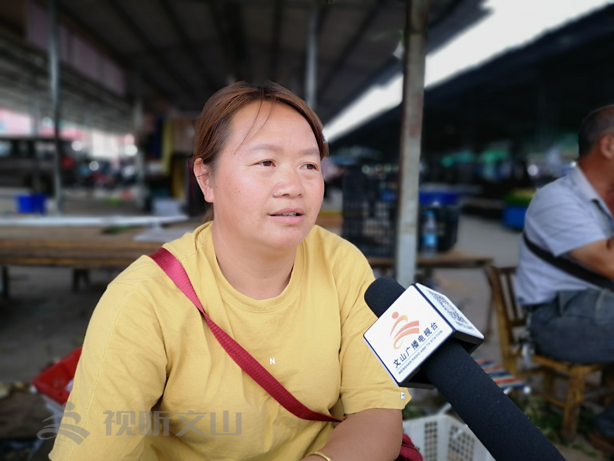 2021年文山野生菌上市情况,文山野生菌已陆续上市