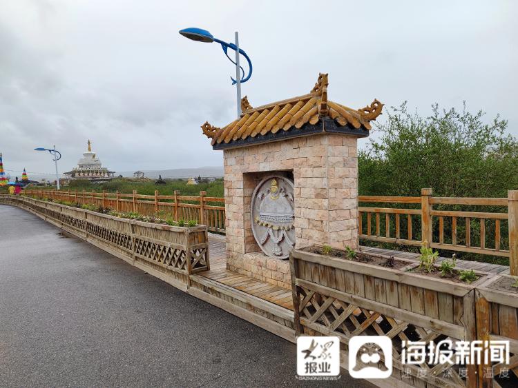 又见刚察｜这就是“聊城力量”！实拍沙柳河畔大美风光，再现“湟鱼洄游”奇景