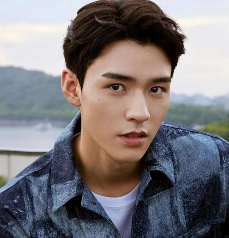 整容失败的男星们,娱乐圈整容艺人