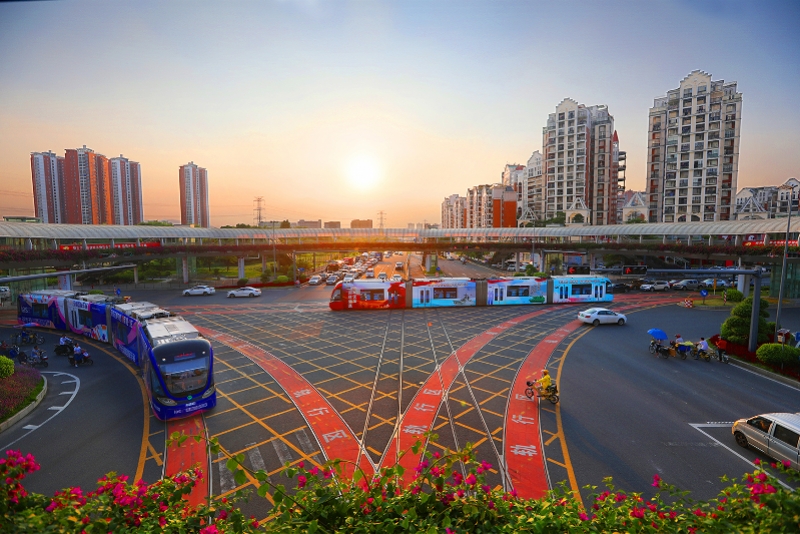 践行我为群众办实事实践活动,践行我为群众办实事主题党日活动