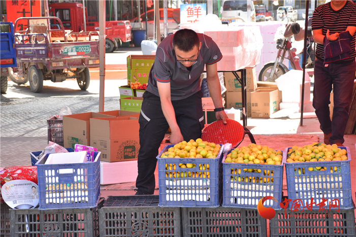 敦煌李广杏带往嘉峪关,敦煌李广杏顺丰快递