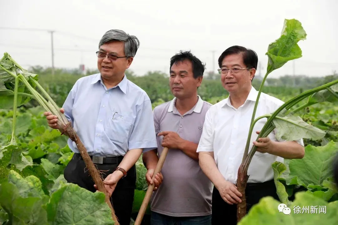 书记与县长,书记每周工作安排