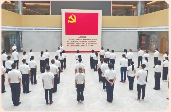 发挥基层党建战斗堡垒作用,打造基层党组织战斗堡垒