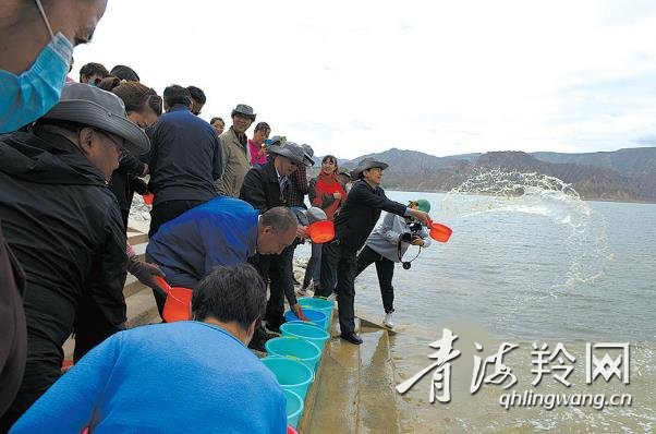高峡出平湖旅游区,高峡出平湖平湖指哪