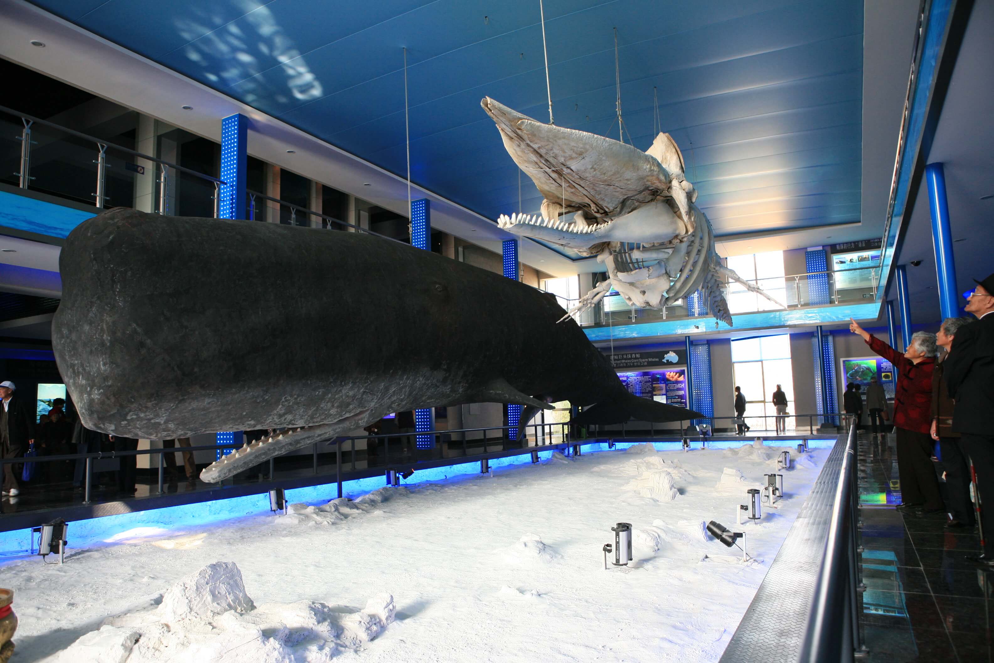 刘公岛海上桃源,刘公岛海上仙山