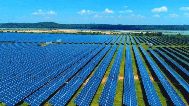 泰和被誉为乌鸡之乡,江西泰和乌鸡的故乡