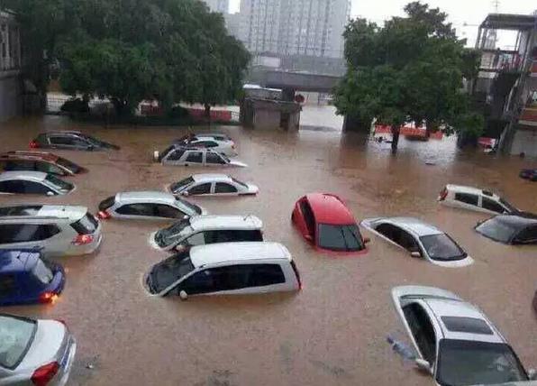 车损险遇暴雨可以理赔吗,暴雨导致大树倒在车上保险理赔吗
