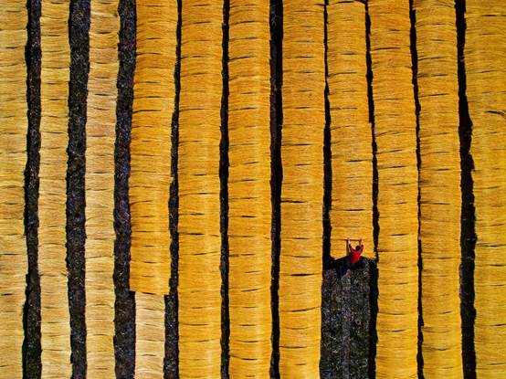 共绘乡村振兴美好画卷,共绘乡村振兴美丽画卷