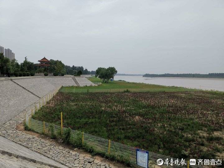 济南黄河网红打卡地攻略最新,济南网红打卡地景点经三路