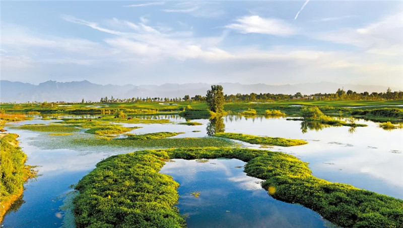 新西安新名片征文选登,27